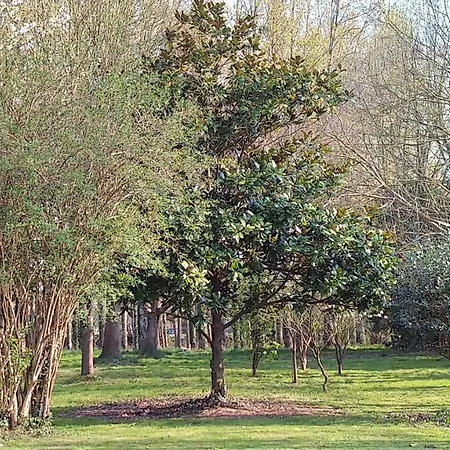 بيت للعطل Oree Des Marais